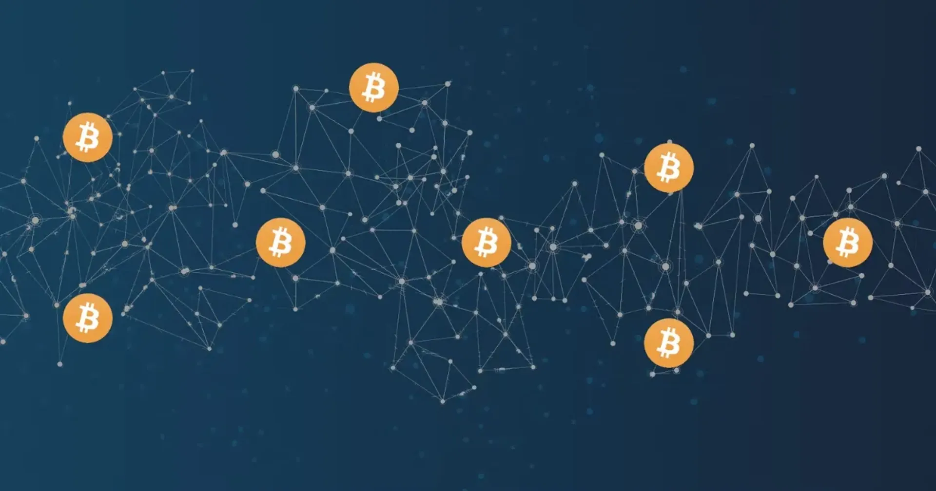 Profile Banner