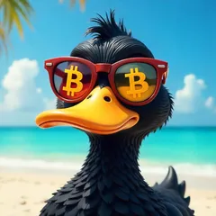 HAVAL's avatar