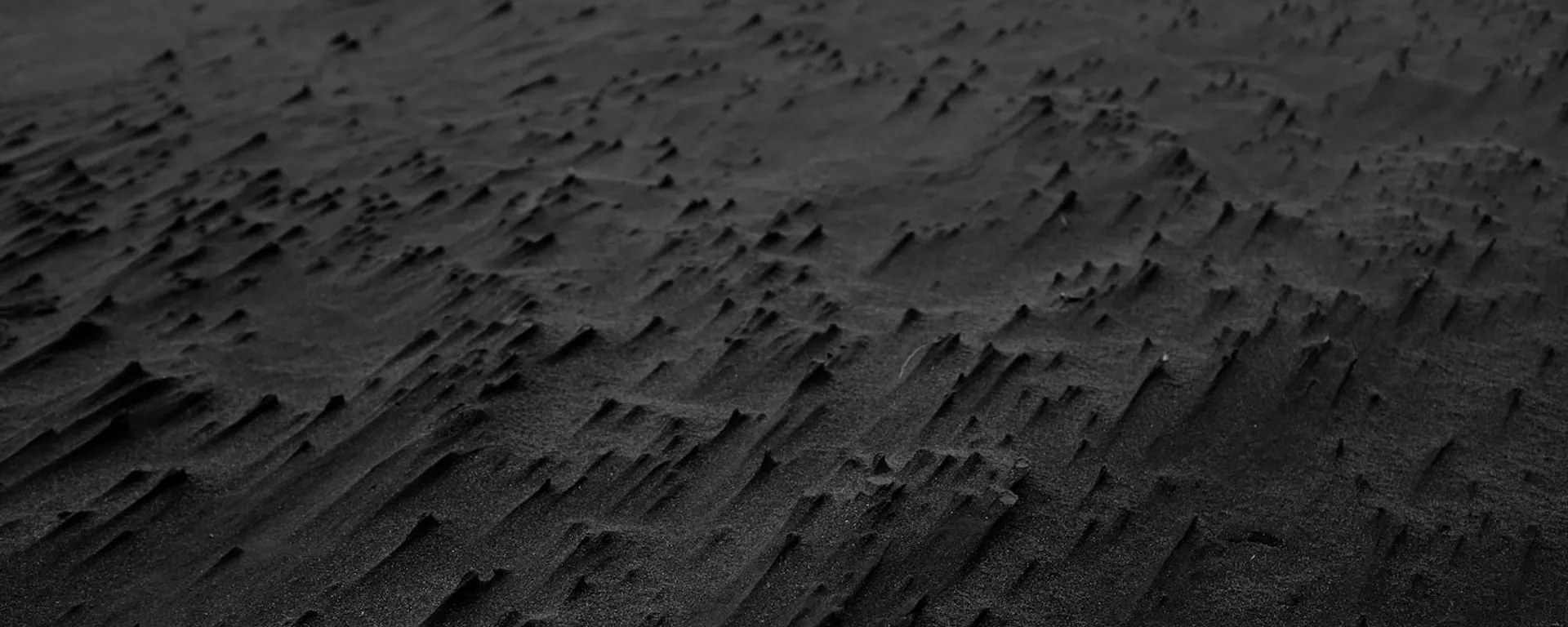 Profile Banner